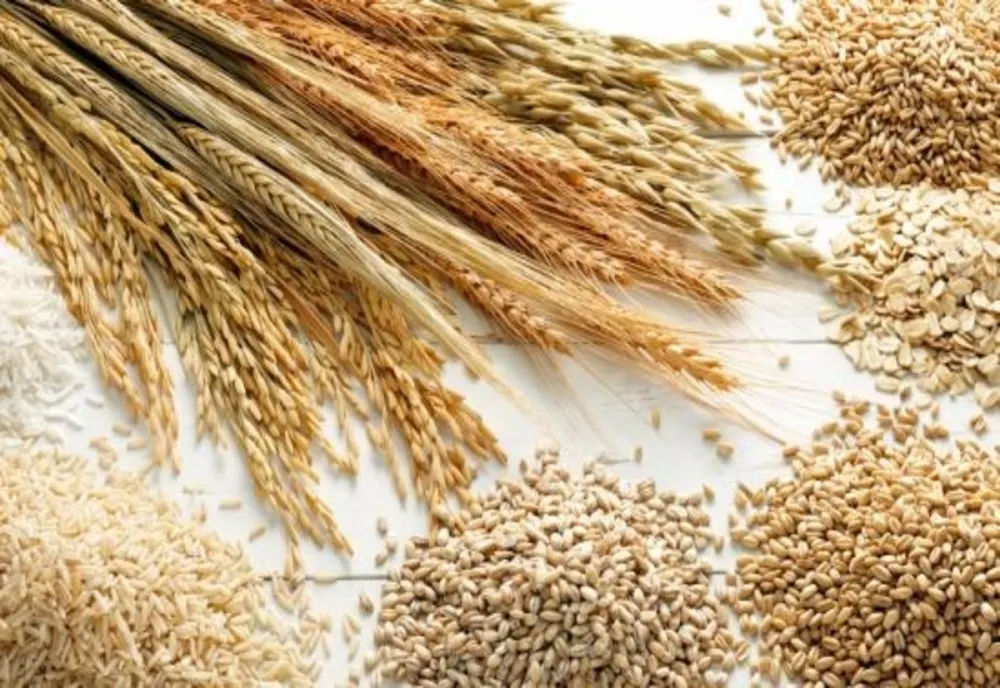 Social democrații îl iau la întrebări pe ministrul Agriculturii