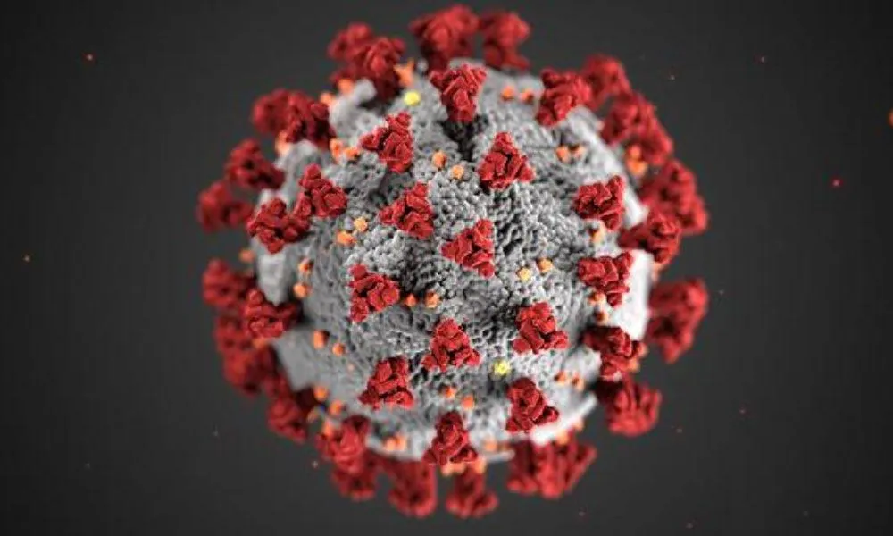 Cel mai experimentat epidemiolog Géza Molnár dă verdictul: “Epidemia este în scădere!”