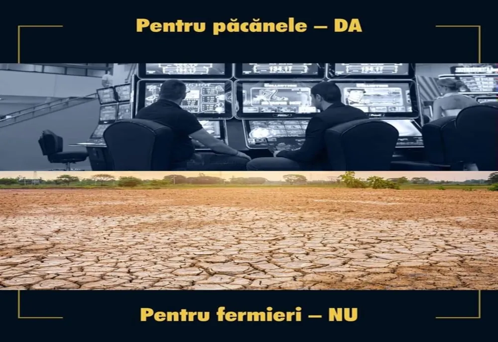 Marcel Ciolacu acuza lipsa de susținere guvernamentala pentru agricultura romanesca