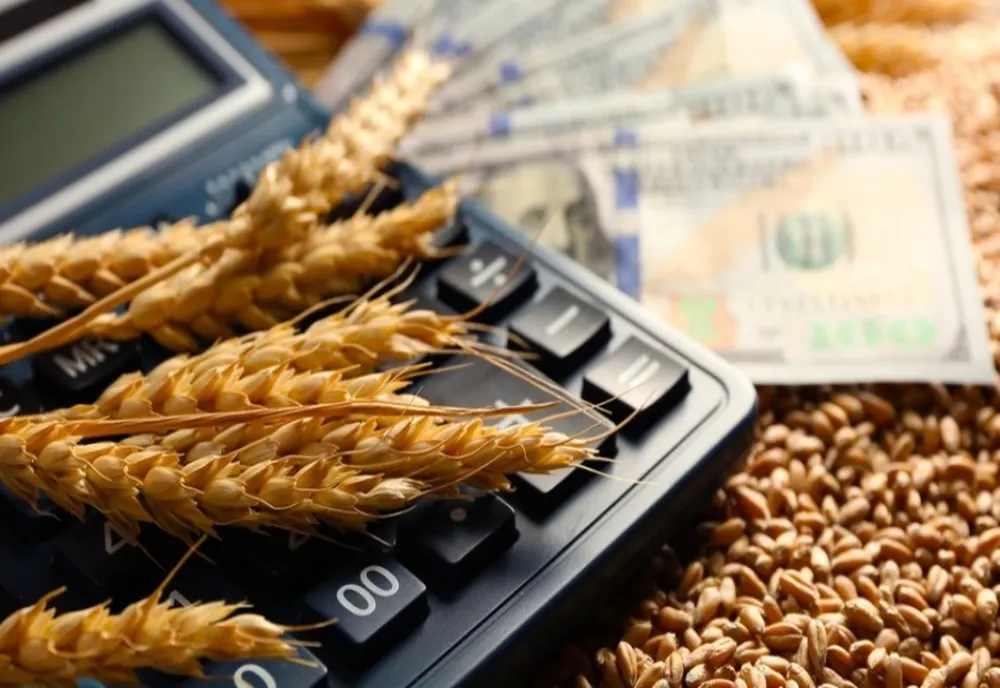 Chesnoiu: exporturile de cereale nu vor înceta
