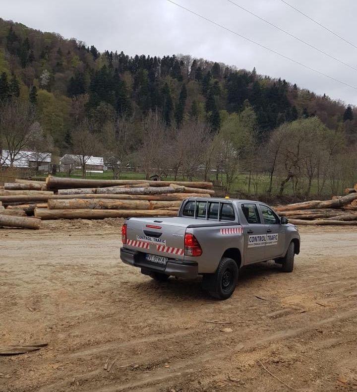 Ionel Arsene dovedește masacrarea pădurilor nemtene