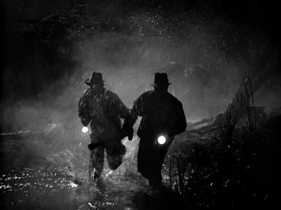 Fructele mâniei politice