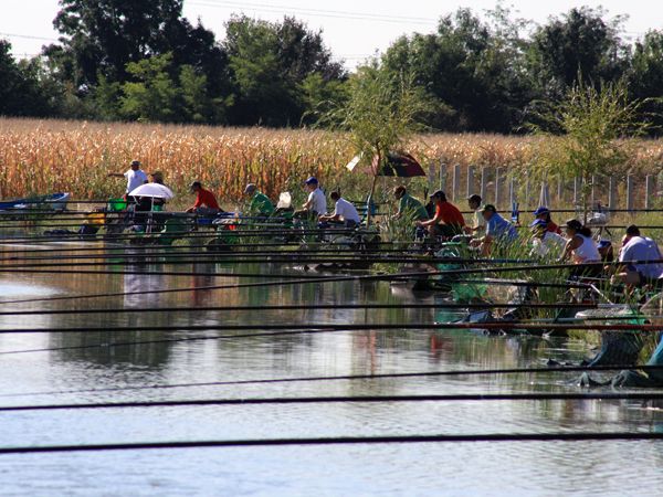 CINE ESTE CEL MAI PERICULOS”RASPANDAC” AL VIRUSULUI?