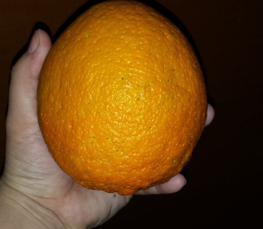 INTR-O ZI NE-AU DĂRUIT O PORTOCALA?