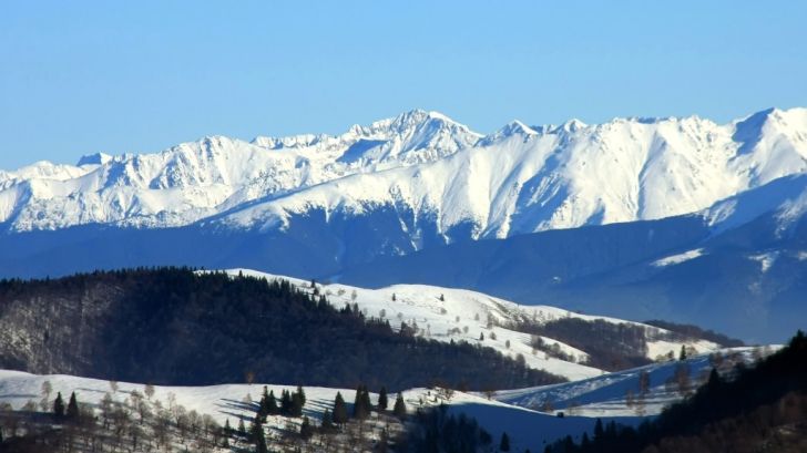 MUTAM MUNȚII DIN LOC?