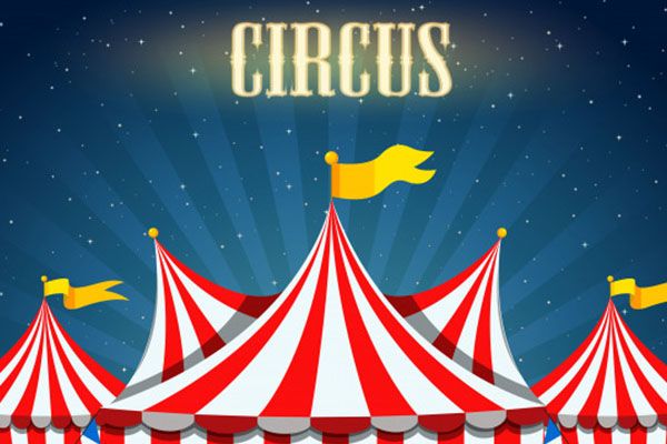 ESTE CIRCUL IN ȘOMAJ?