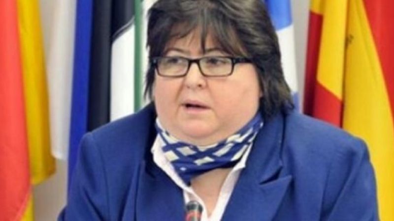 Prin excluderea PSD, Alina Mungiu Pippidi susține că există pericolul dictaturii