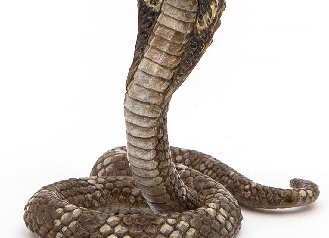 EXISTA UN ASASIN TĂCUT IN VIRUS?