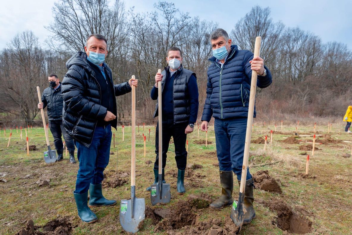 Corneliu Ștefan i-a invitat pe liderii naționali ai PSD la plantat arbori