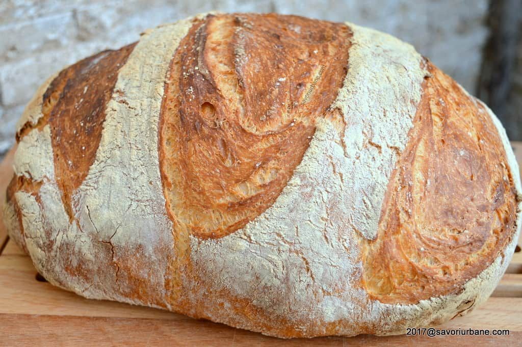 ȘI DACĂ NOI MANCAM PÂINE ?