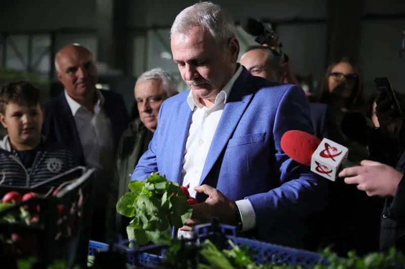 dragnea legume