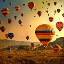 E86065BC-43A3-490D-9A96-A88C20403623