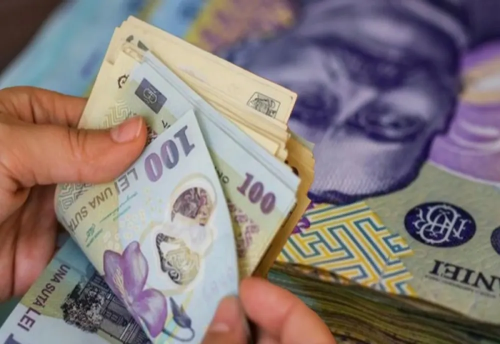 SORIN GRINDEANU: OAMENII TREBUIE SĂ BENEFICIEZE DE SALARII DECENTE 