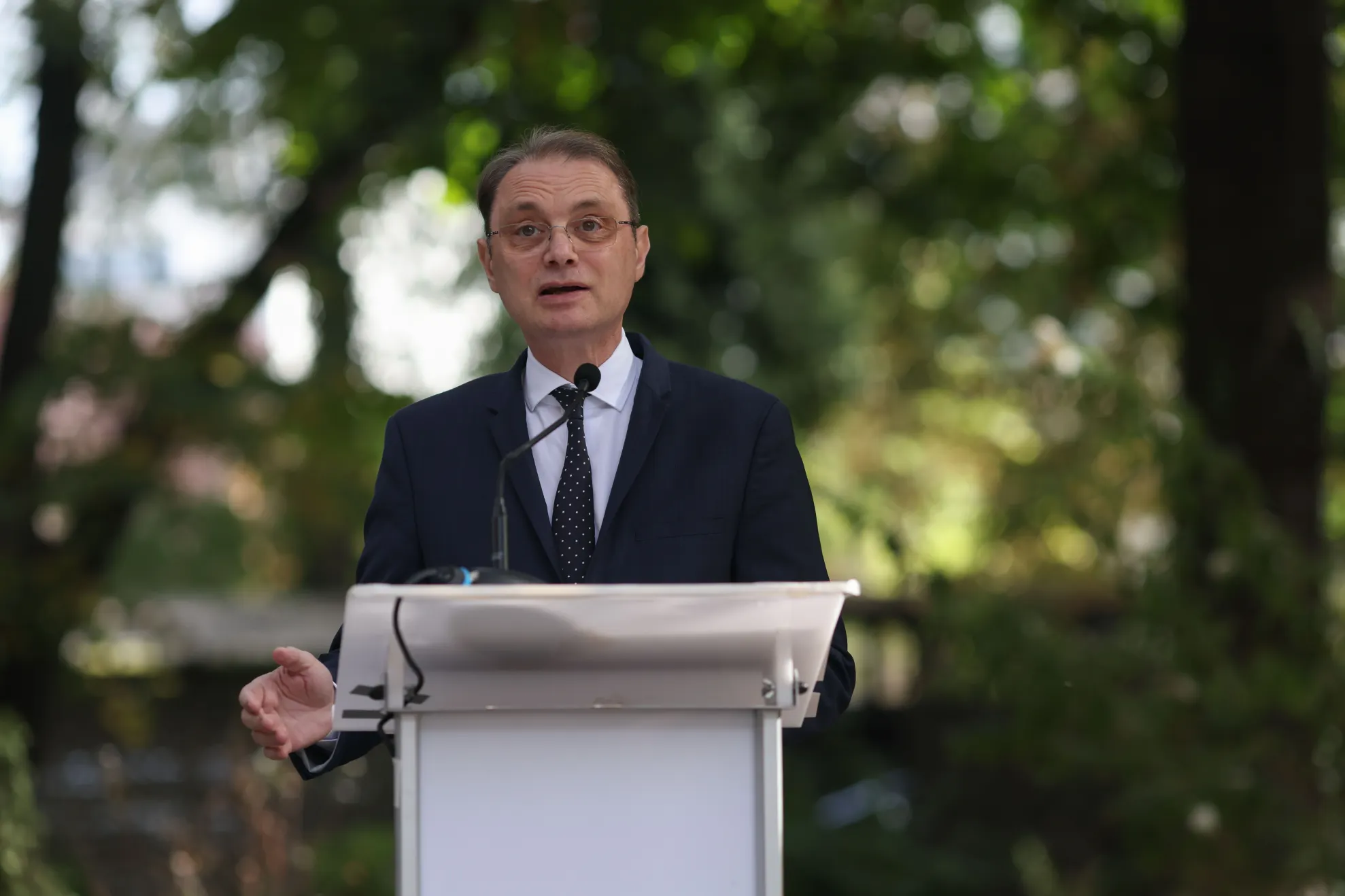 Luca Niculescu