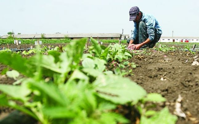 B999E174-21C9-451B-81E3-B2856AB28075