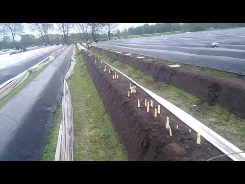 E09B919D-6BD5-4F11-8A71-4E4E7FBD0A2D