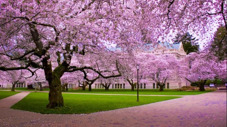 WhatsApp Image 2020-04-25 at 09.04.08