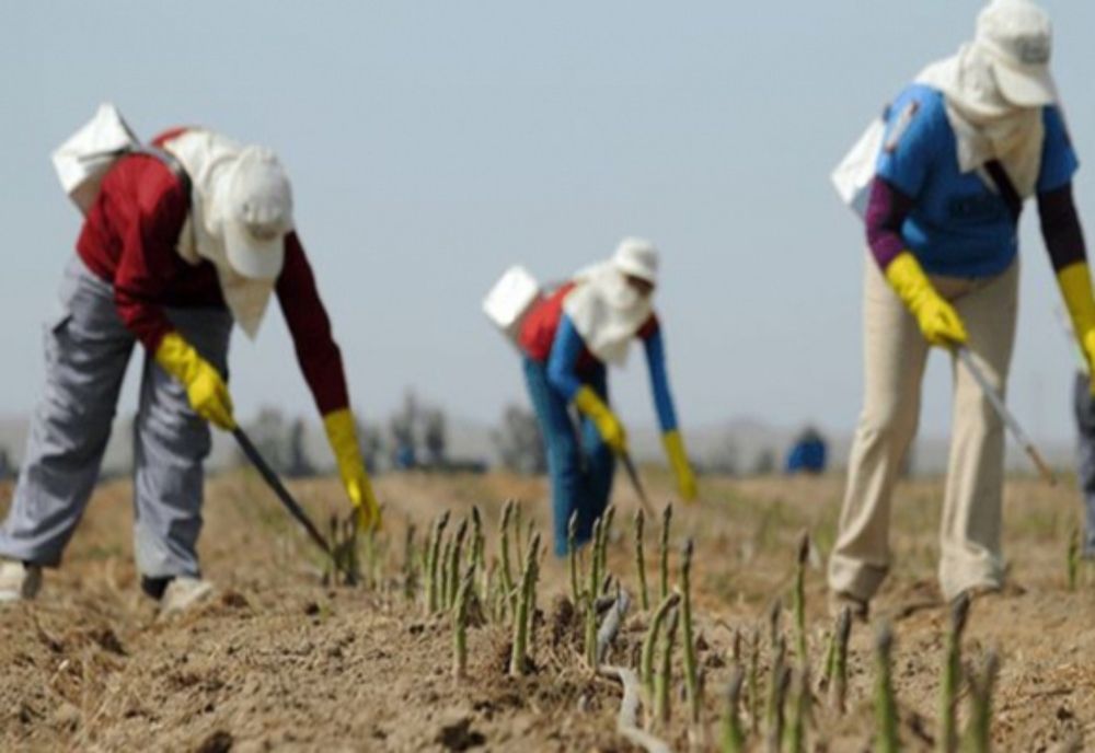 PSD lansează petiția online "Drepturi egale pentru lucrătorii romani în UE" 