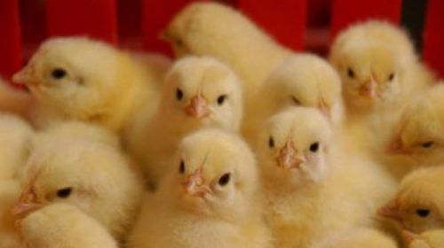 8E9243A2-E457-4AF3-8F0E-8F8FDCAB6A75