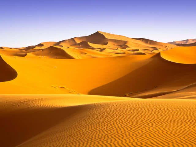 43E74540-6F40-4A95-A87D-89D8C9F7CB29