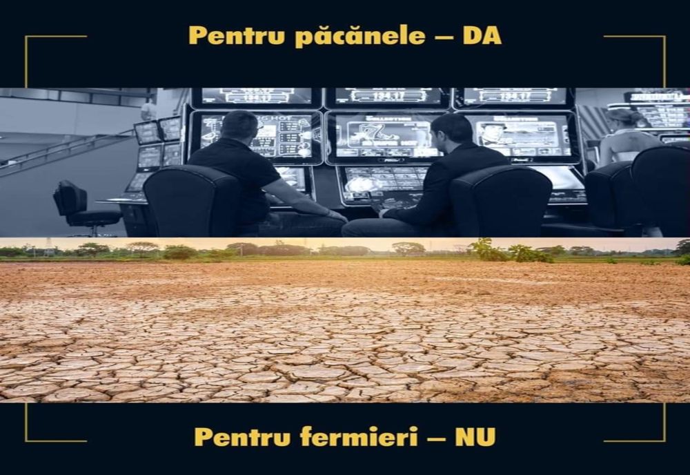 Marcel Ciolacu acuza lipsa de susținere guvernamentala pentru agricultura romanesca