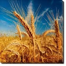 395D74EA-42D1-450F-AD82-E8CD6EB5552B