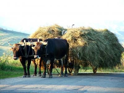 5E6756DB-5F15-4846-8E54-1F822D09E2A6