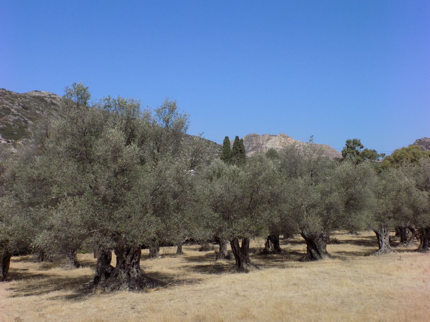 BD8C35FB-4CD7-4E12-AAD7-A981578ABE2A