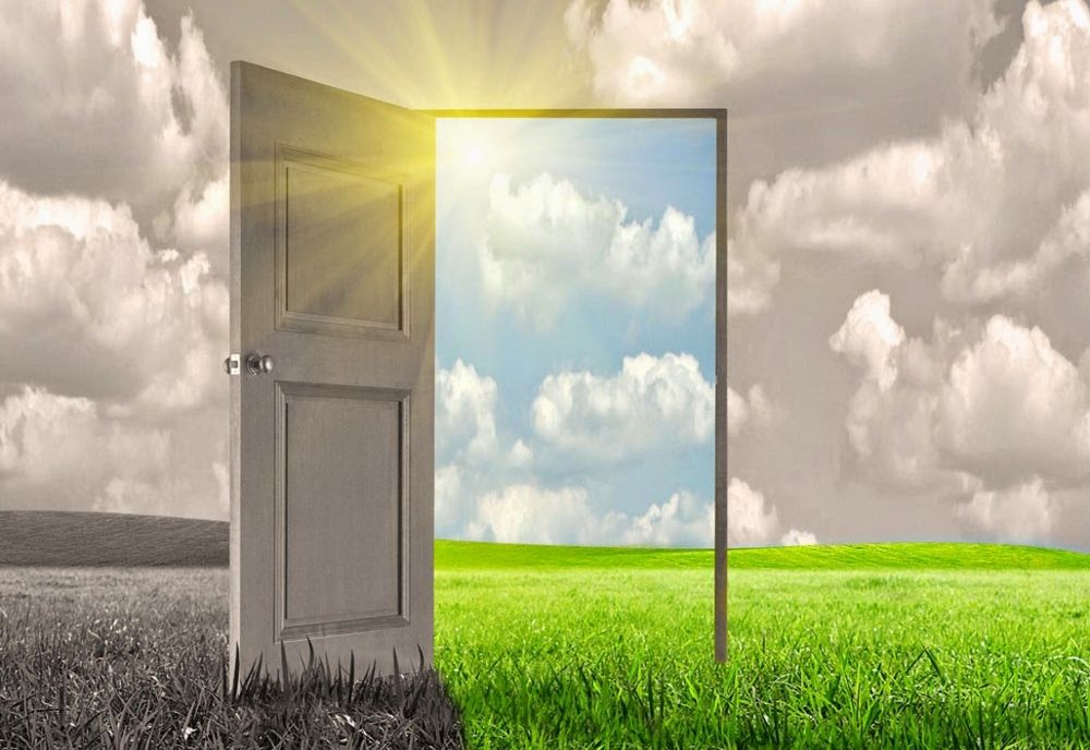 Balamalele scârțâie în politica românească 