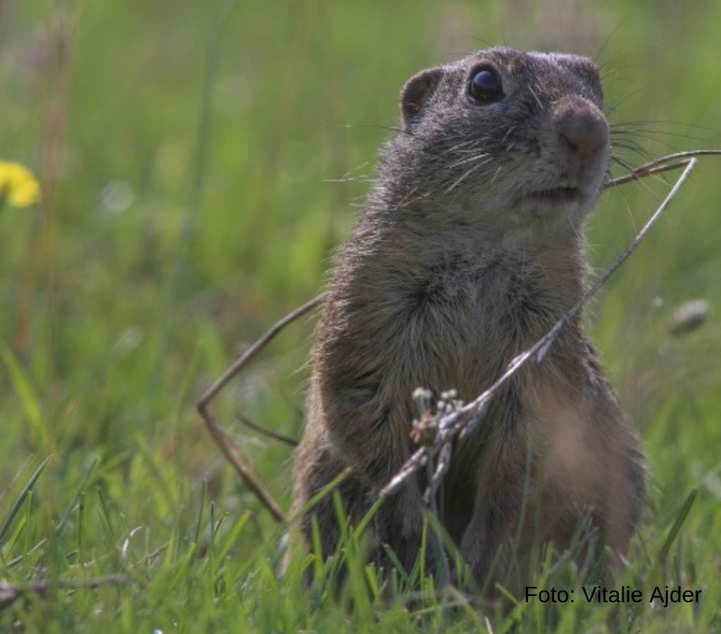 DAE0B55D-BFEF-4921-8141-D07F26CFA72F