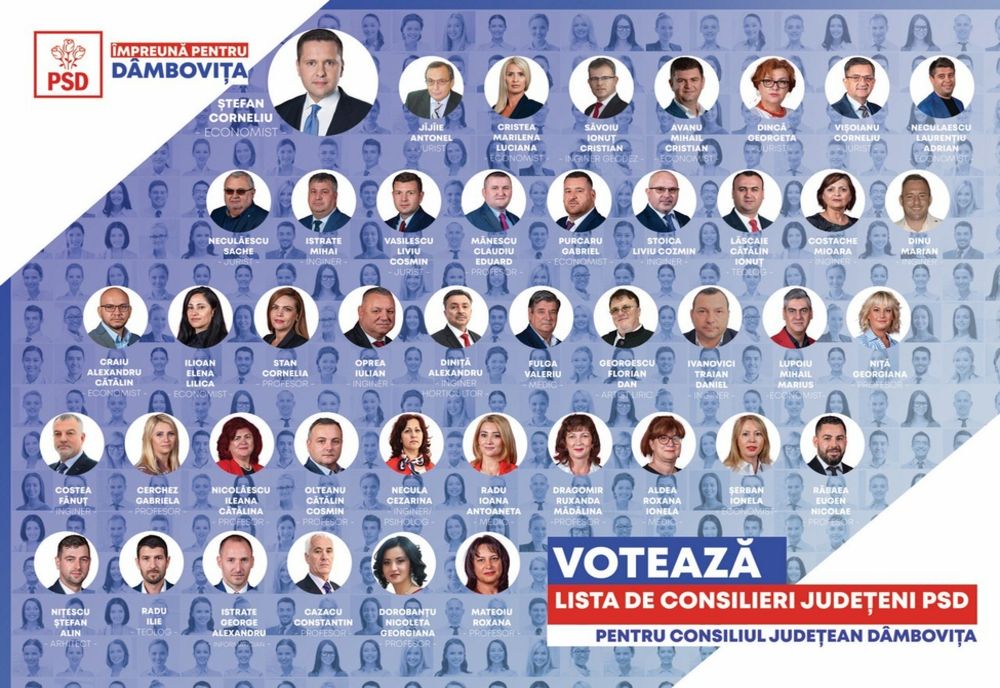 În căutarea echipei PSD 