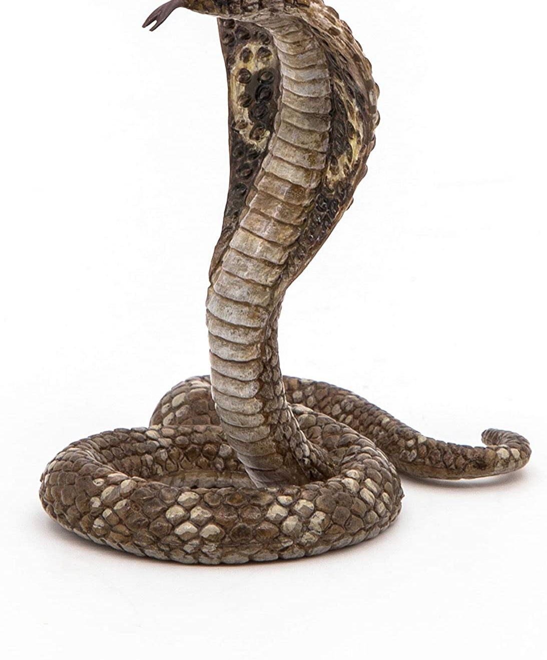 D3EE6191-9A04-4EF4-91B3-07CC1902B8A9