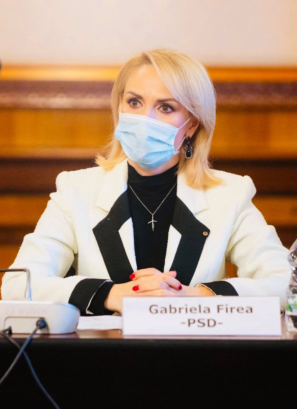 gabriela firea