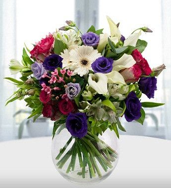 723CDA79-5459-4638-B9C7-64DD714E0A35