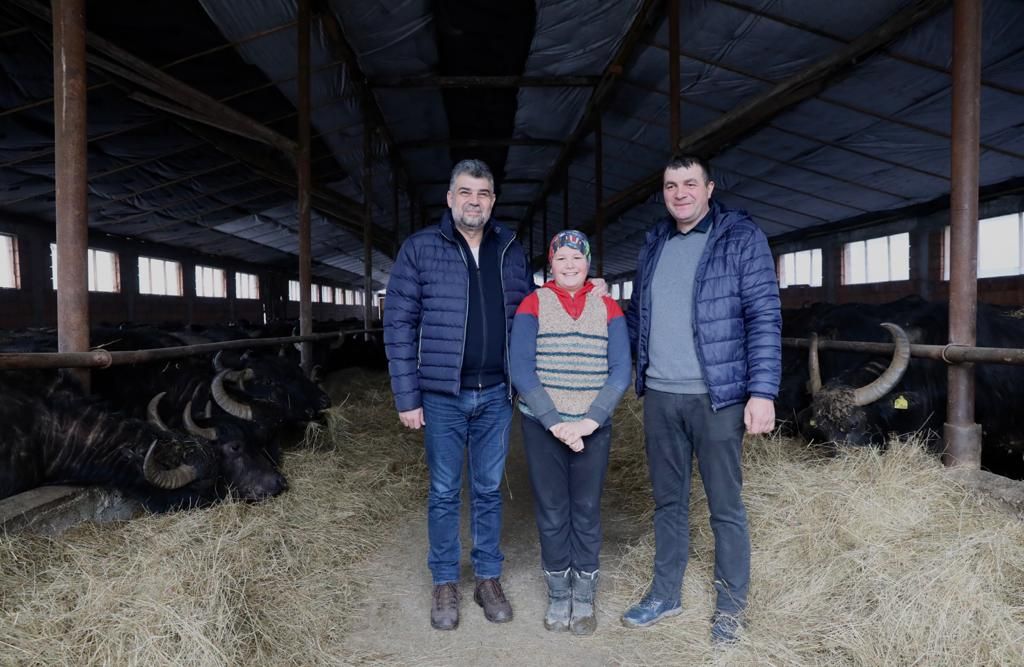 Marcel ciolacu ferma