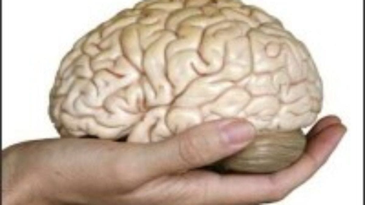 28C03D1B-19BA-4A2E-B4A6-756CCB7946E8