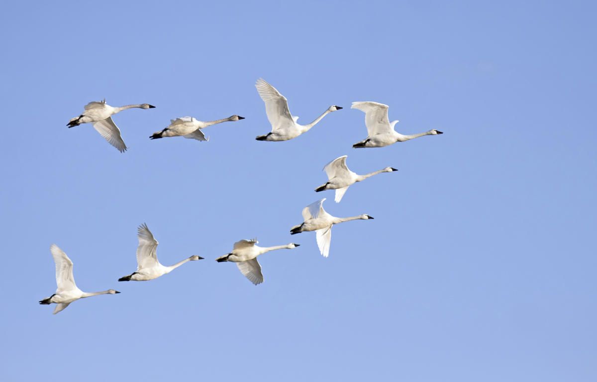 C1BFE414-B18B-4382-9FAA-5D1C0E76953E