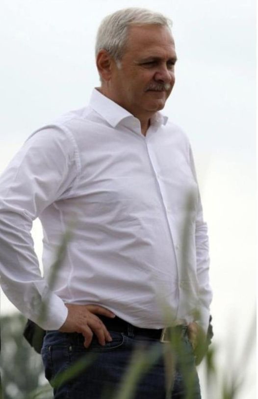 liviu dragnea