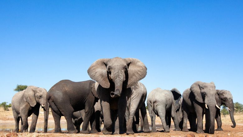 2B6D5905-542D-4A6C-9382-51E2F48BC40A