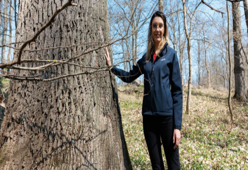 Ședință de guvern tensionată. PSD așteaptă demisia sau demiterea ministresei de la Mediu