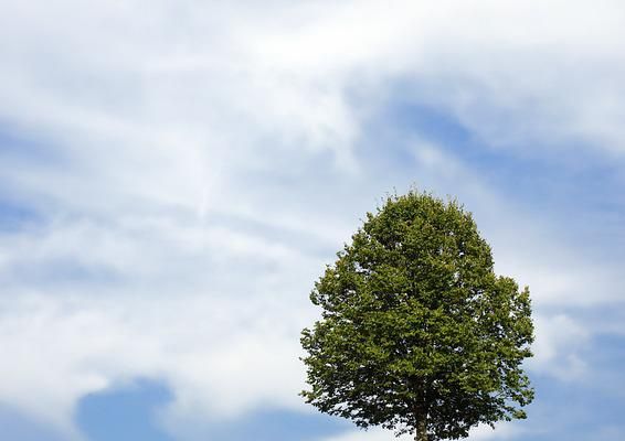 GÂNDEȘTE CINEVA SCENARIUL..8?