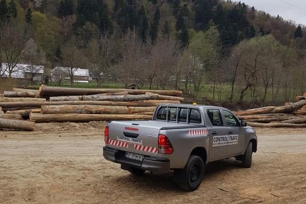 Ionel Arsene dovedește masacrarea pădurilor nemtene