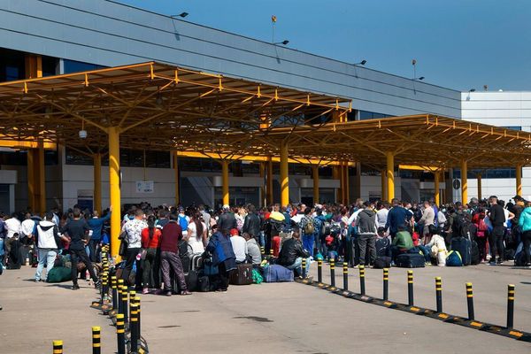 URZICI SAU...SPARANGHEL?