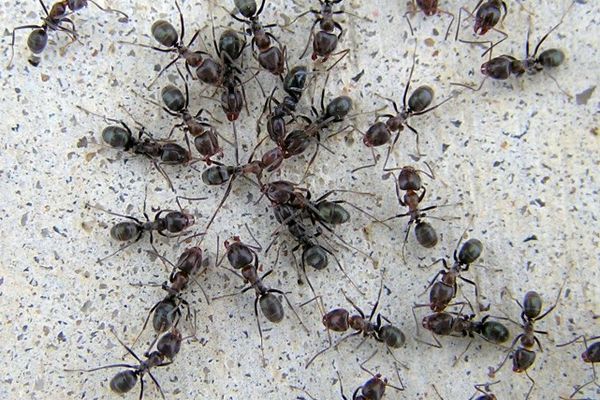 PREA MULȚI,PREA MICI?