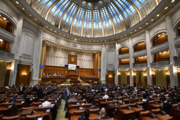PSD nu a votat sancționarea Dianei Șoșoacă