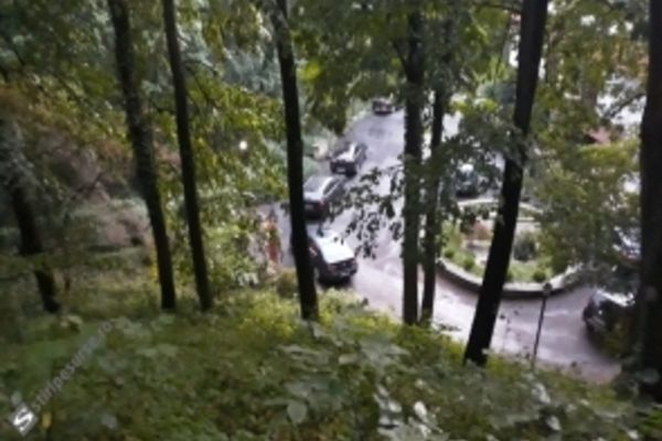 PSD sparge damigeana liberala