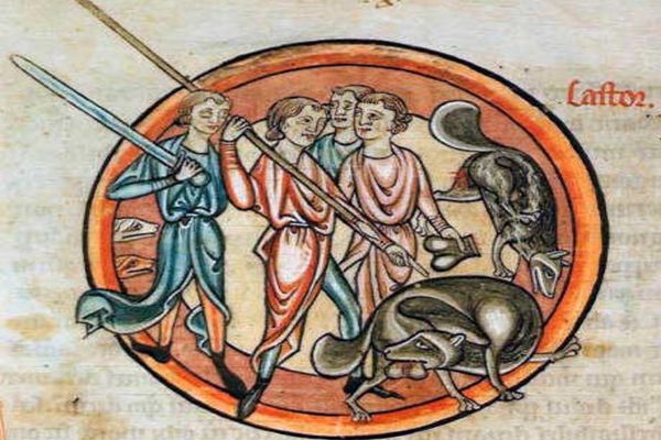 Poveste de vara din jungla romaneasca