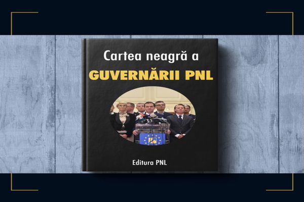 PSD a făcut bilanțul Guvernului PNL și ii cere sa plece