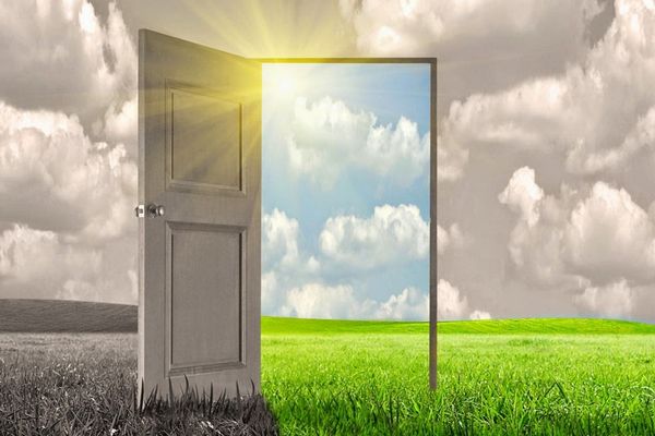 Balamalele scârțâie în politica românească 