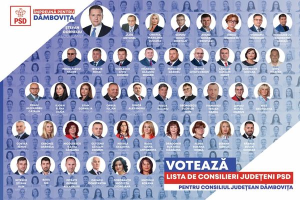 În căutarea echipei PSD 